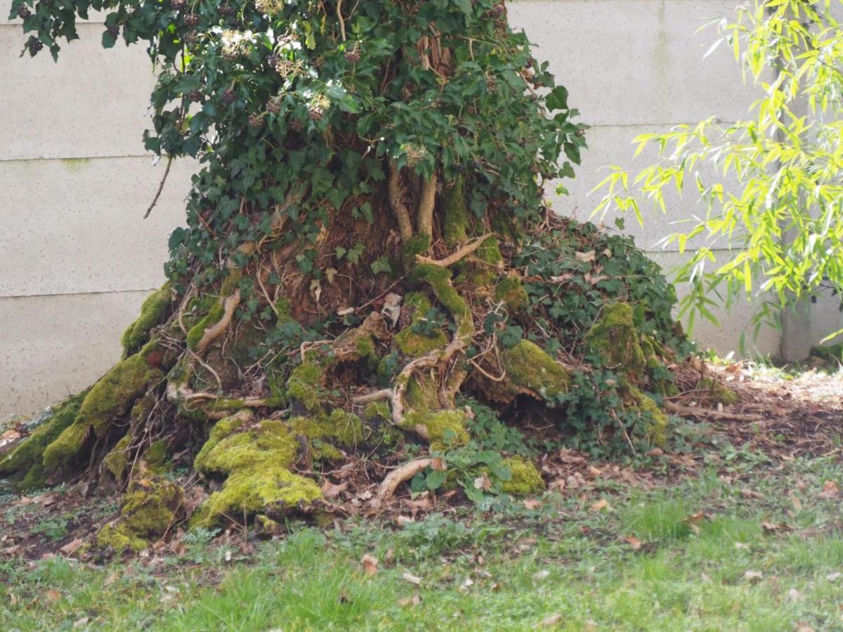 Chateau Segot Neuilly-le-Real ภายนอก รูปภาพ
